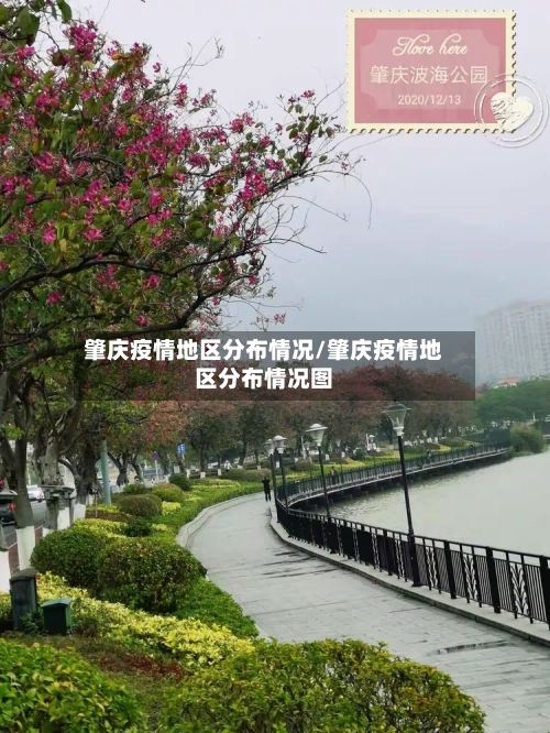 肇庆疫情地区分布情况/肇庆疫情地区分布情况图