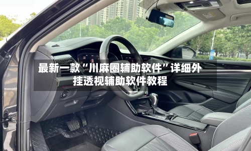 最新一款“川麻圈辅助软件	”详细外挂透视辅助软件教程-第2张图片