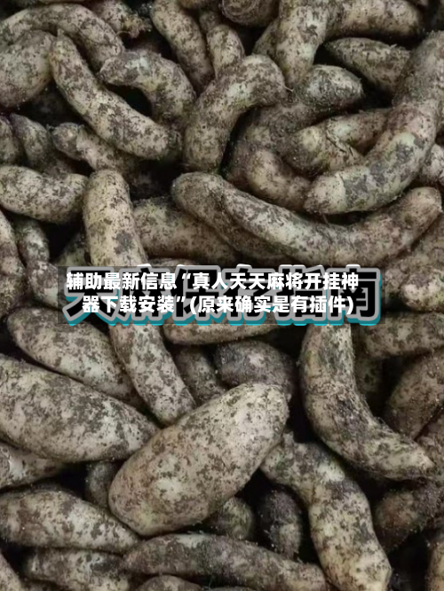 辅助最新信息“真人天天麻将开挂神器下载安装”(原来确实是有插件)