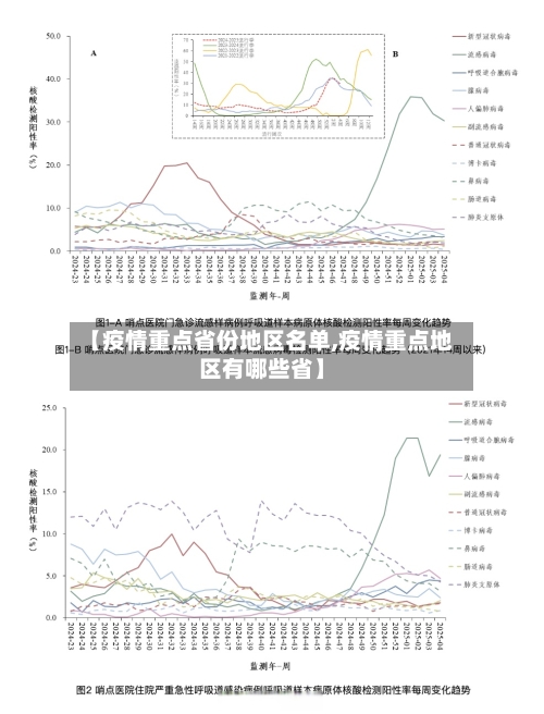 【疫情重点省份地区名单,疫情重点地区有哪些省】