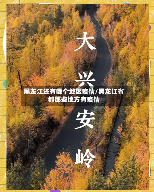 黑龙江还有哪个地区疫情/黑龙江省都那些地方有疫情-第3张图片