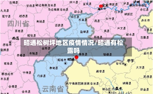 昭通松树坪地区疫情情况/昭通有松露吗