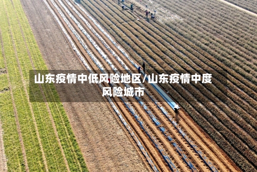 山东疫情中低风险地区/山东疫情中度风险城市