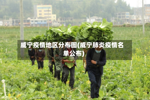 威宁疫情地区分布图(威宁肺炎疫情名单公布)