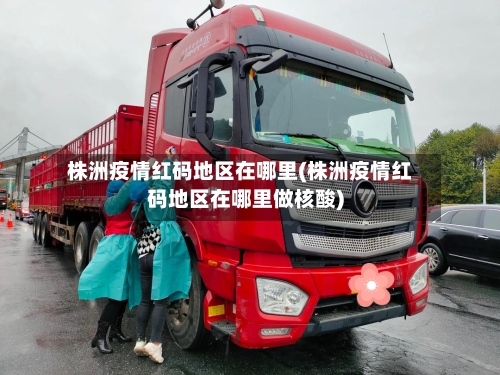 株洲疫情红码地区在哪里(株洲疫情红码地区在哪里做核酸)