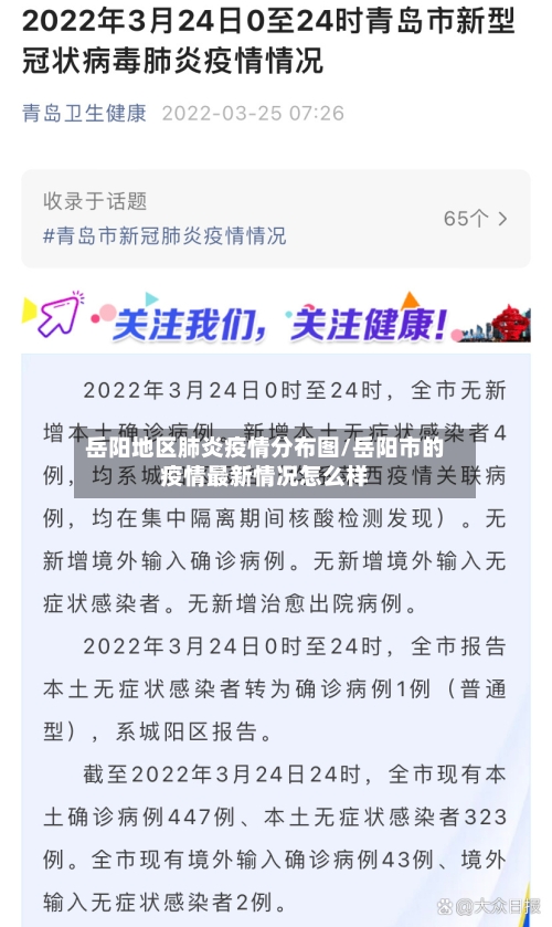 岳阳地区肺炎疫情分布图/岳阳市的疫情最新情况怎么样