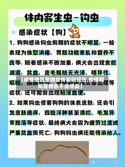 【疫情地区宠物会传染吗现在,疫情期间宠物会不会传染】