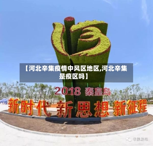 【河北辛集疫情中风区地区,河北辛集是疫区吗】