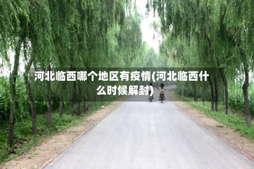 河北临西哪个地区有疫情(河北临西什么时候解封)