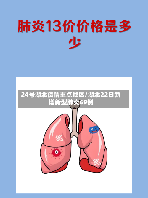 24号湖北疫情重点地区/湖北22日新增新型肺炎69例