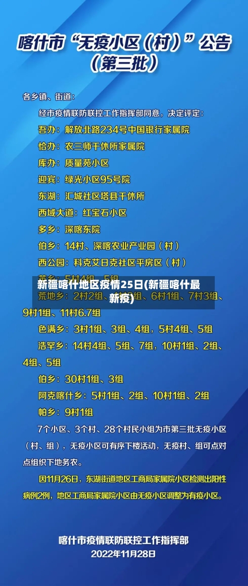 新疆喀什地区疫情25日(新疆喀什最新疫)-第2张图片