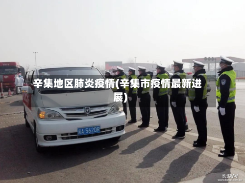 辛集地区肺炎疫情(辛集市疫情最新进展)