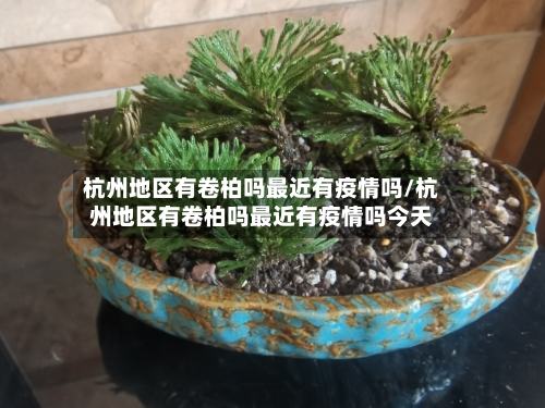杭州地区有卷柏吗最近有疫情吗/杭州地区有卷柏吗最近有疫情吗今天-第3张图片