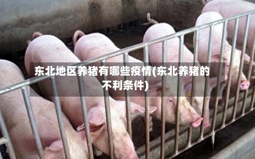 东北地区养猪有哪些疫情(东北养猪的不利条件)