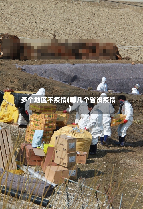 多个地区不疫情(哪几个省没疫情)
