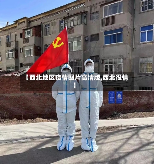 【西北地区疫情图片高清版,西北役情】