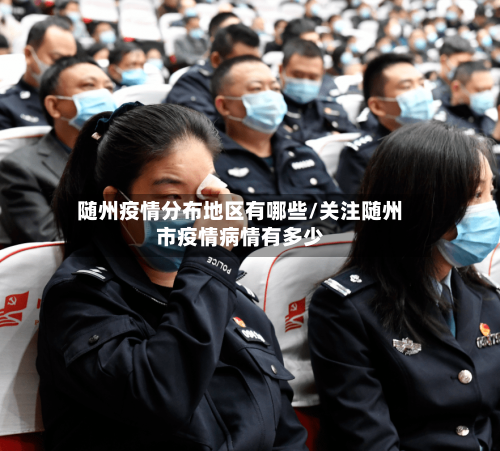 随州疫情分布地区有哪些/关注随州市疫情病情有多少-第3张图片