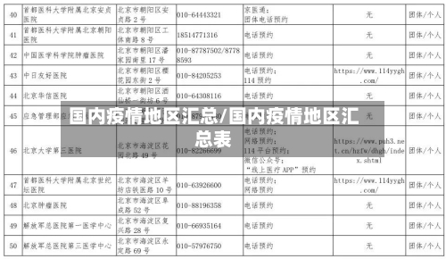 国内疫情地区汇总/国内疫情地区汇总表