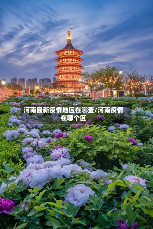 河南最新疫情地区在哪查/河南疫情在哪个区