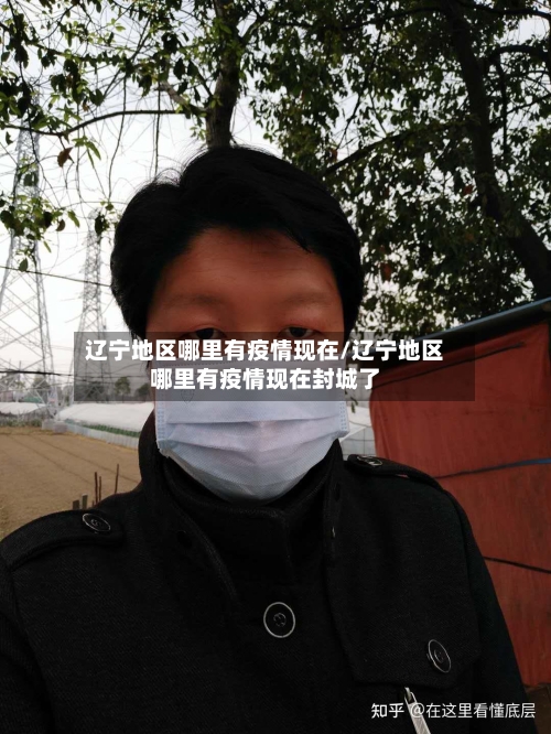 辽宁地区哪里有疫情现在/辽宁地区哪里有疫情现在封城了