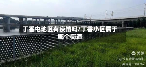 丁香屯地区有疫情吗/丁香小区属于哪个街道-第2张图片