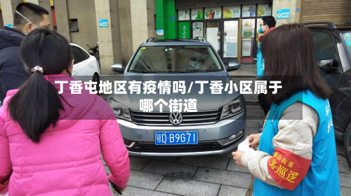 丁香屯地区有疫情吗/丁香小区属于哪个街道-第3张图片