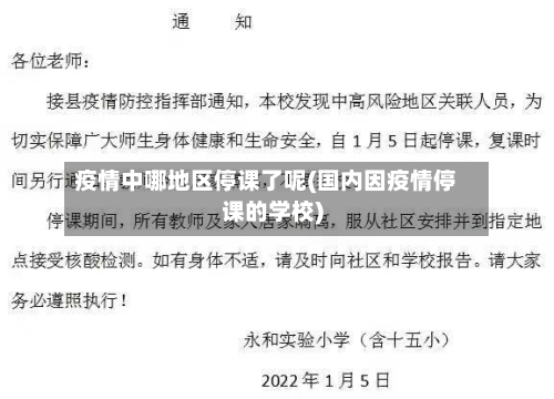 疫情中哪地区停课了呢(国内因疫情停课的学校)