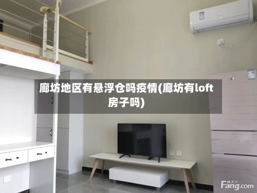 廊坊地区有悬浮仓吗疫情(廊坊有loft房子吗)