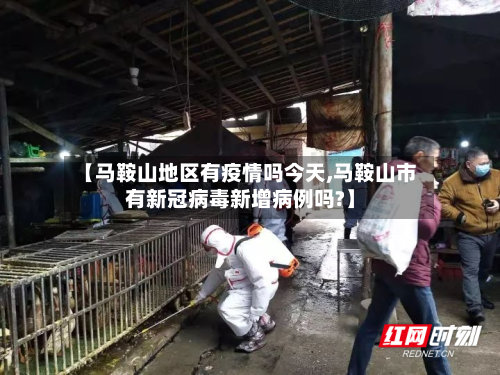 【马鞍山地区有疫情吗今天,马鞍山市有新冠病毒新增病例吗?】-第2张图片