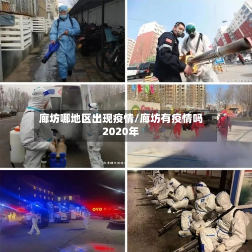 廊坊哪地区出现疫情/廊坊有疫情吗2020年-第2张图片