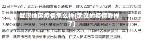 武汉地区疫情怎么样(武汉的疫情咋样了)-第3张图片