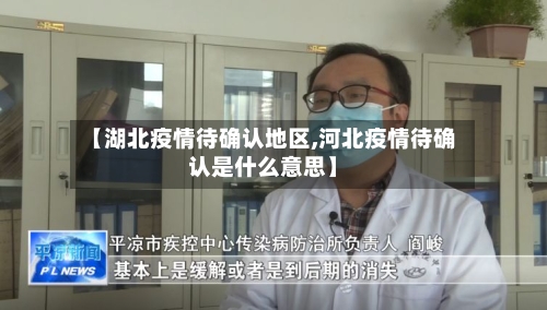 【湖北疫情待确认地区,河北疫情待确认是什么意思】-第2张图片