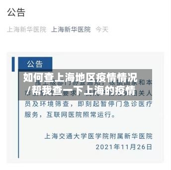 如何查上海地区疫情情况/帮我查一下上海的疫情-第2张图片