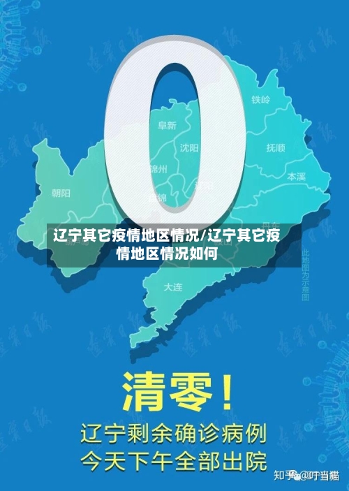 辽宁其它疫情地区情况/辽宁其它疫情地区情况如何-第3张图片