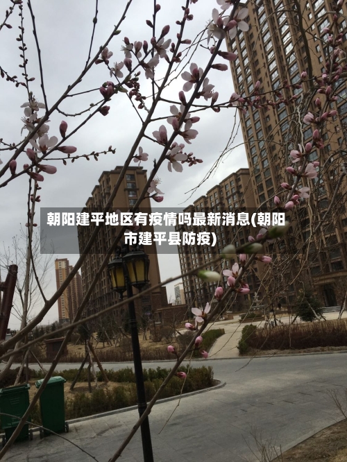 朝阳建平地区有疫情吗最新消息(朝阳市建平县防疫)