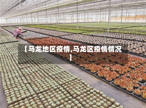 【马龙地区疫情,马龙区疫情情况】-第2张图片