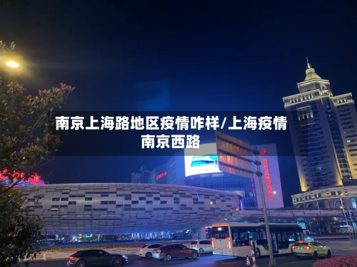 南京上海路地区疫情咋样/上海疫情南京西路-第2张图片