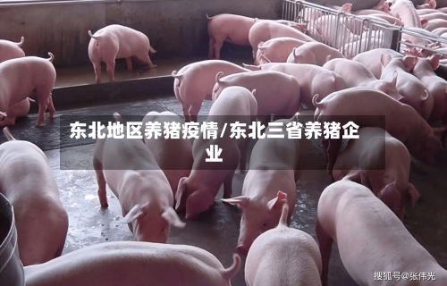 东北地区养猪疫情/东北三省养猪企业-第2张图片
