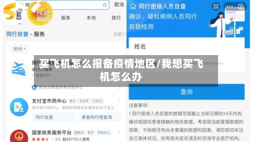 买飞机怎么报备疫情地区/我想买飞机怎么办-第3张图片