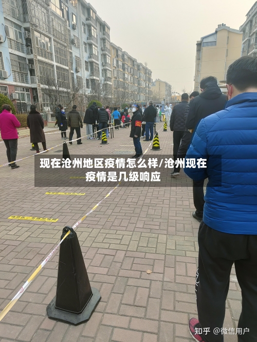 现在沧州地区疫情怎么样/沧州现在疫情是几级响应