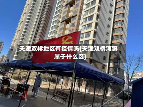天津双桥地区有疫情吗(天津双桥河镇属于什么区)