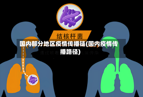 国内部分地区疫情传播链(国内疫情传播路径)