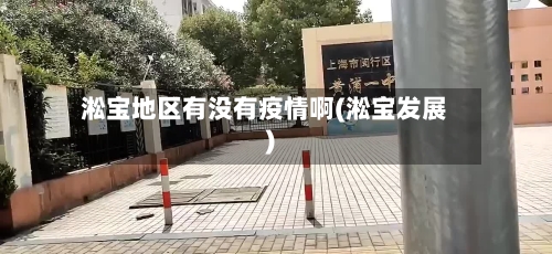 淞宝地区有没有疫情啊(淞宝发展)-第2张图片