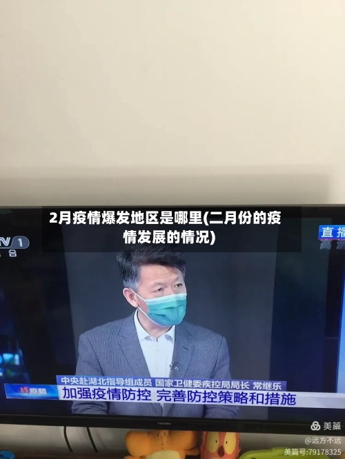 2月疫情爆发地区是哪里(二月份的疫情发展的情况)