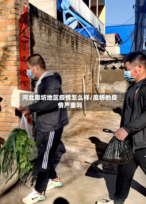河北廊坊地区疫情怎么样/廊坊的疫情严重吗