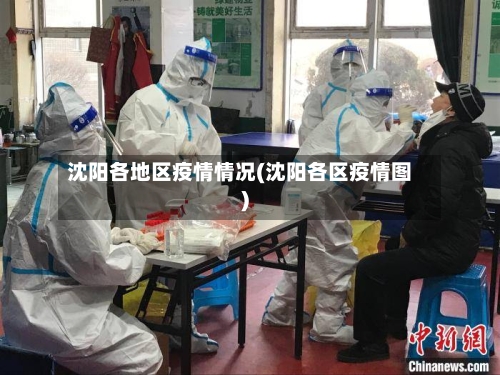 沈阳各地区疫情情况(沈阳各区疫情图)