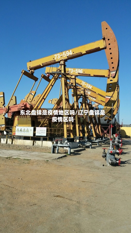 东北盘锦是疫情地区吗/辽宁盘锦是疫情区吗-第2张图片