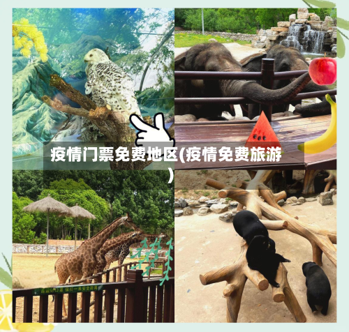 疫情门票免费地区(疫情免费旅游)