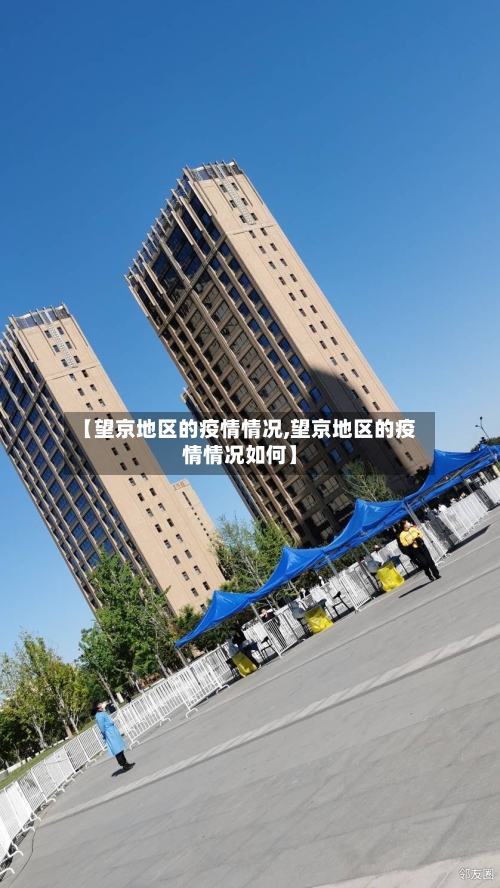 【望京地区的疫情情况,望京地区的疫情情况如何】-第3张图片