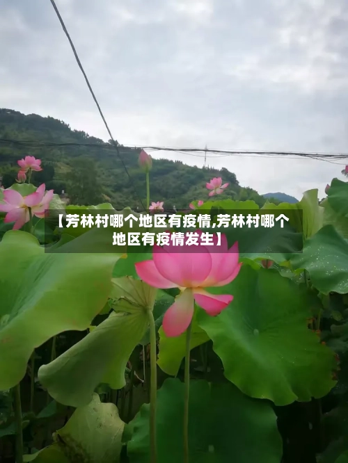 【芳林村哪个地区有疫情,芳林村哪个地区有疫情发生】-第2张图片
